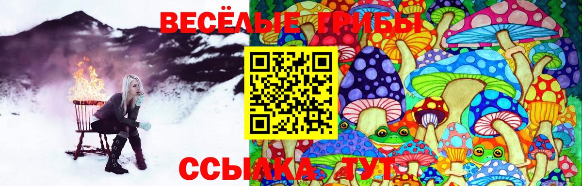 Усолье-Сибирское  Псилоцибиновые грибы ЛСД  Псилоцибиновые грибы Cubensis  Вход с VPN 